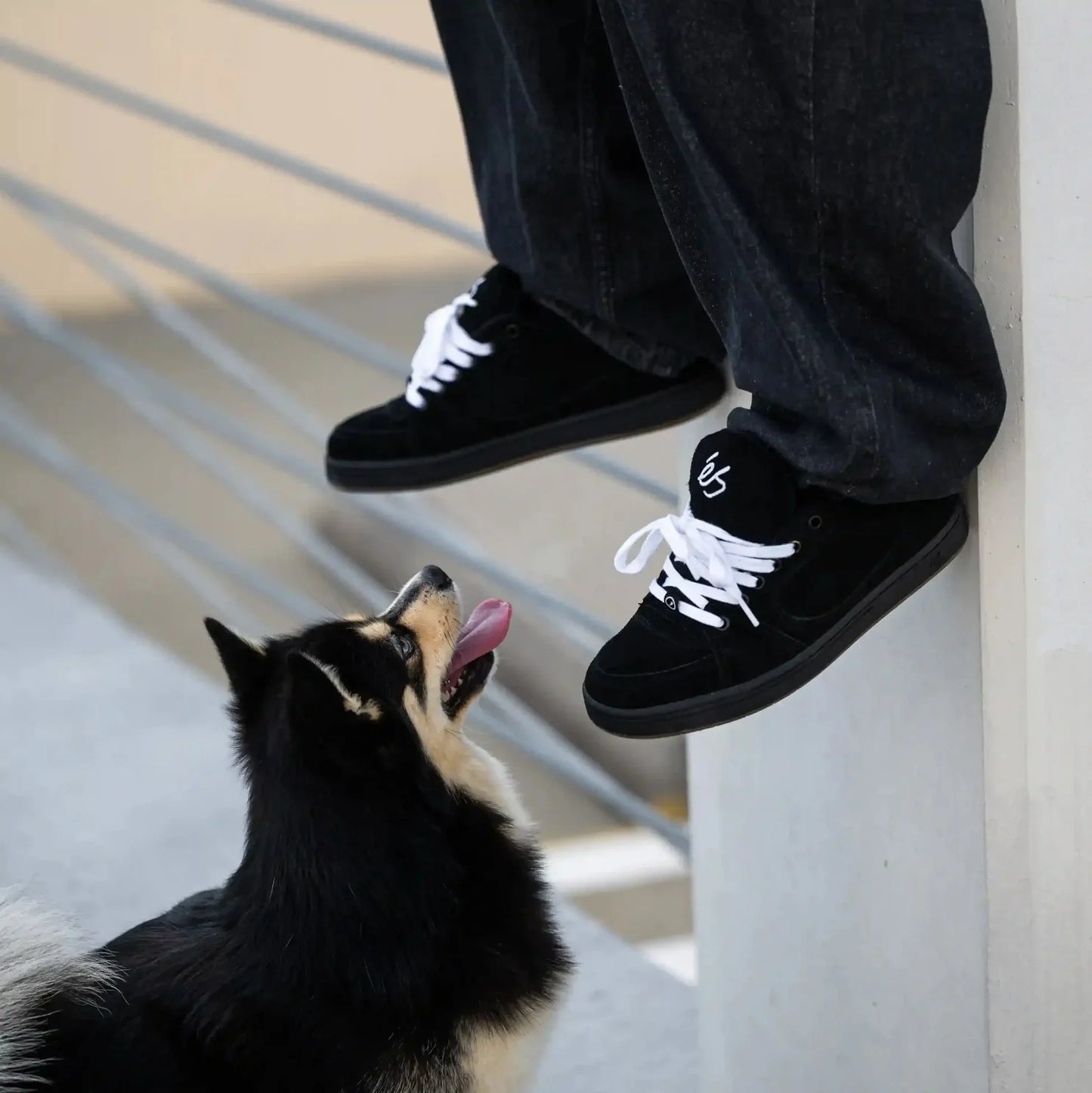 eS Accel Black Black Shoes