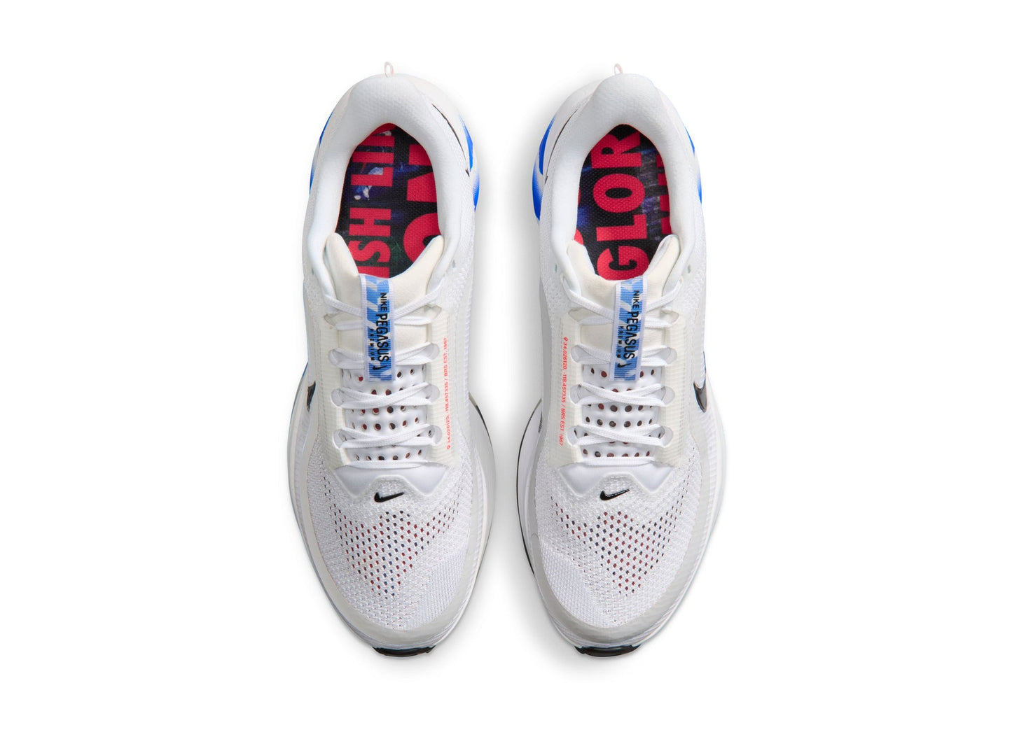 Nike Pegasus Premium CM in White / Black